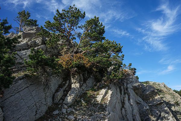 Крымский природный заповедник