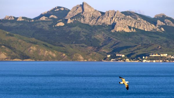 Карадагский заповедник в Крыму