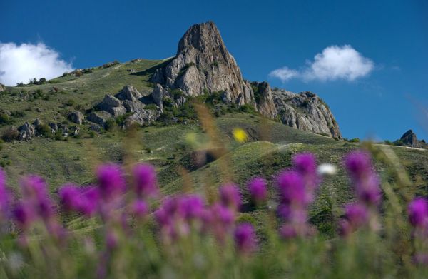 Горный хребет и растительность в Карадагском природном заповеднике в Крыму