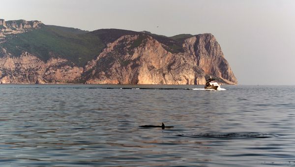 Мыс Фиолент в Балаклавском районе Севастополя. Архивное фото Мыс Фиолент в Балаклавском районе Севастополя. Архивное фото