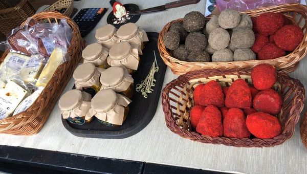Открытие Винной деревни в Алуште