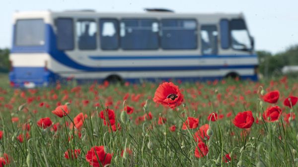 Автобус в окрестностях поселка Зуя в Крыму