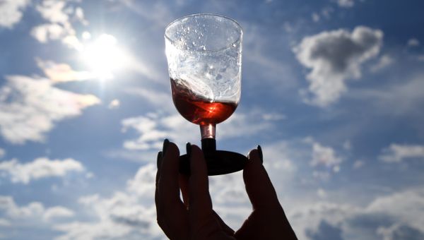Второй винно-гастрономический фестиваль In Vino Veritas в Коктебеле