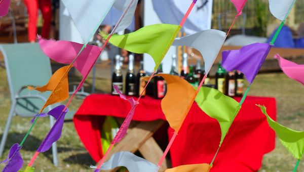 Второй винно-гастрономический фестиваль In Vino Veritas в Коктебеле