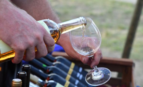 Второй винно-гастрономический фестиваль In Vino Veritas в Коктебеле. День третий