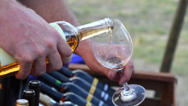 Второй винно-гастрономический фестиваль In Vino Veritas в Коктебеле. День третий