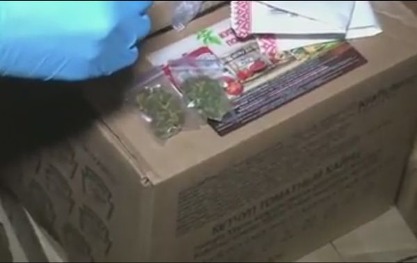 Свертки с марихуаной, обнаруженные правоохранителями в одном из ночных клубов Симферополя