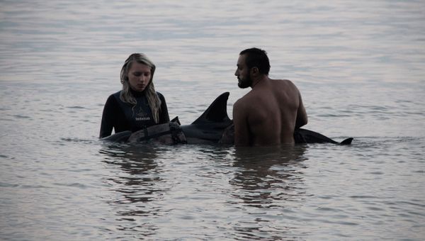 Сотрудники организации Безмятежное море оказывают помощь дельфину