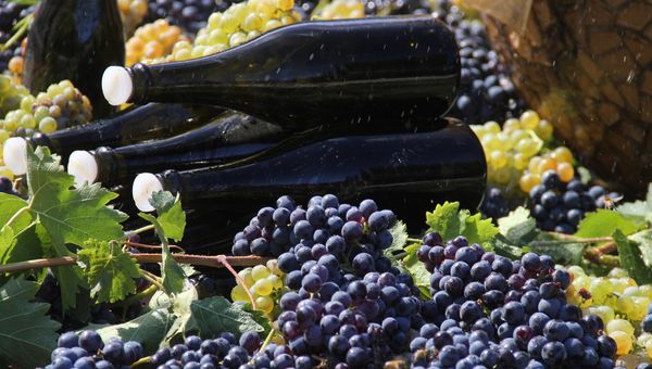 Продукция завода шампанских вин Новый свет