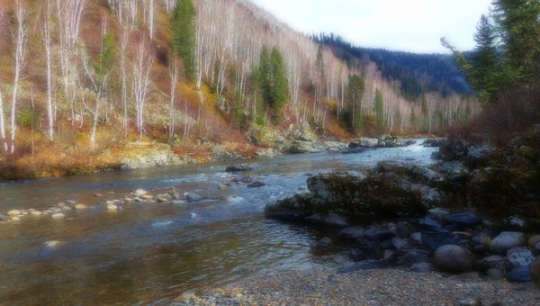 Река Большой Казыр в Хакасии
