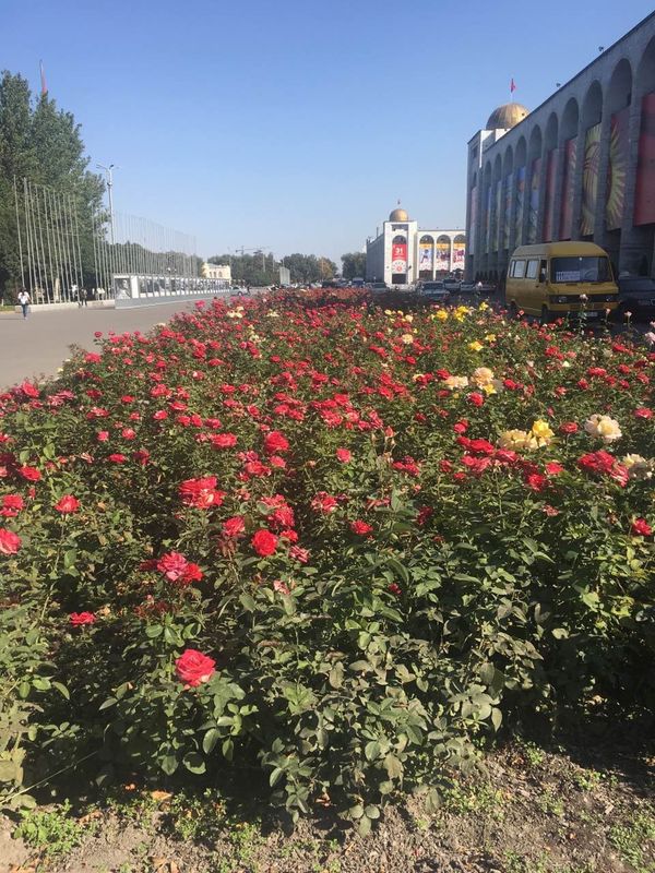 Центр Бишкека