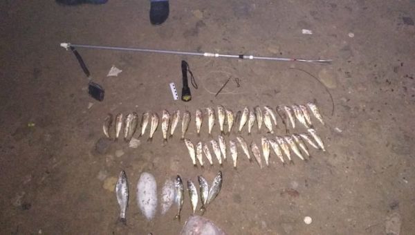Улов браконьеров в Черном море