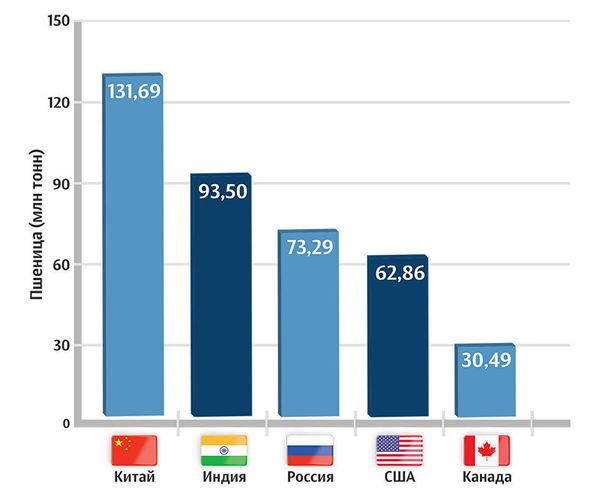 Крупнейшие производители пшеницы в мире. Данные на 2016 год