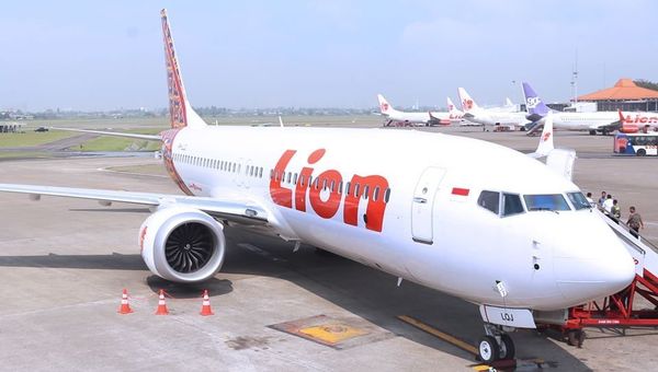 Самолет авиакомпании Lion Air Самолет авиакомпании Lion Air