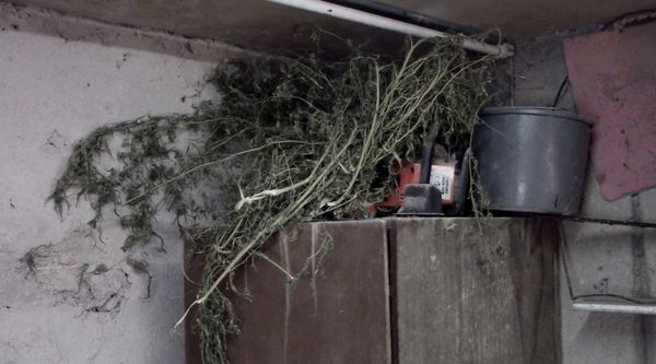 В Красноперекопске полицейские изъяли у местного жителя наркотики