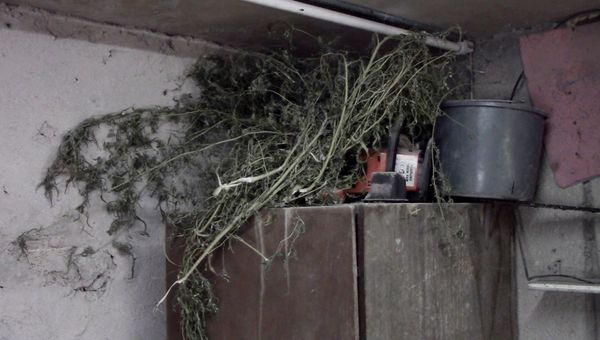 В Красноперекопске полицейские изъяли у местного жителя наркотики В Красноперекопске полицейские изъяли у местного жителя наркотики