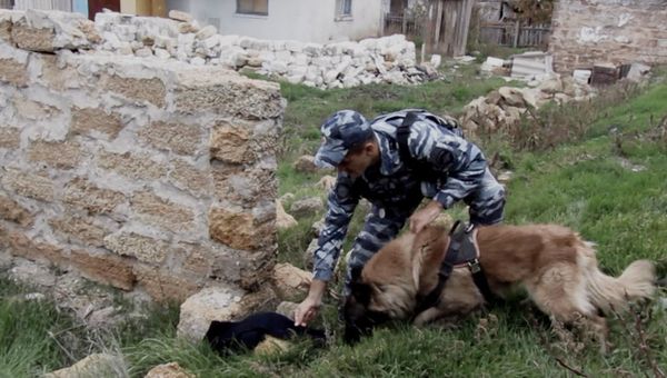 В Джанкое служебный пес Атос вывел полицейских к дому подозреваемой в краже В Джанкое служебный пес Атос вывел полицейских к дому подозреваемой в краже
