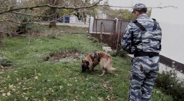 В Джанкое служебный пес Атос вывел полицейских к дому подозреваемой в краже В Джанкое служебный пес Атос вывел полицейских к дому подозреваемой в краже