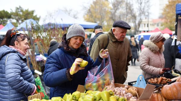 Сельскохозяйственная ярмарка в Симферополе