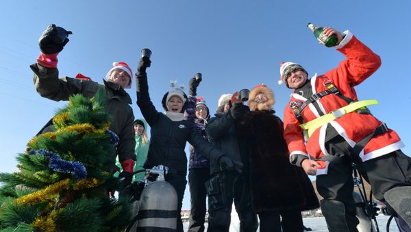 Встреча Нового года
