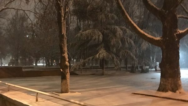 Снег в Симферополе. 11 декабря 2018 Снег в Симферополе. 11 декабря 2018