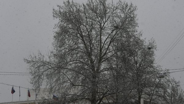 Снег в Симферополе, 13.12.2018 г.