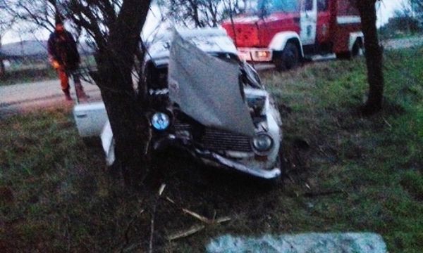 В Крыму ВАЗ влетел в дерево