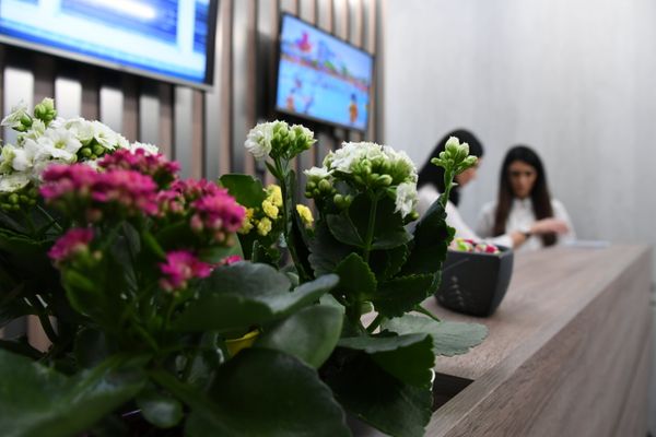 В здании аэропорта Симферополь открыли туристско-информационный центр В здании аэропорта Симферополь открыли туристско-информационный центр
