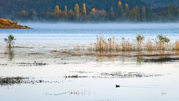 Симферопольское водохранилище. Архивное фото Симферопольское водохранилище. Архивное фото