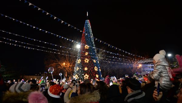 В Севастополе зажгли главную городскую елку