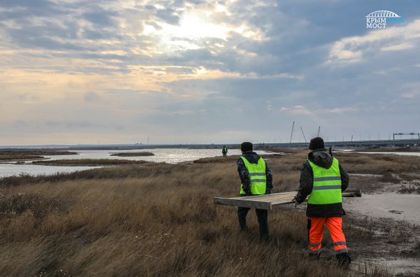 Экологи установили кормушки для птиц рядом с Крымским мостом
