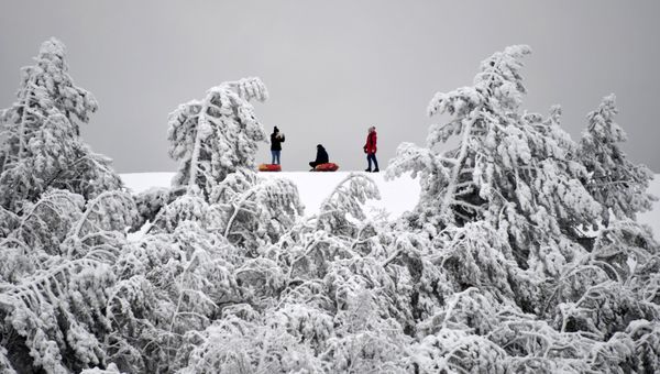 Зимний отдых в Крыму