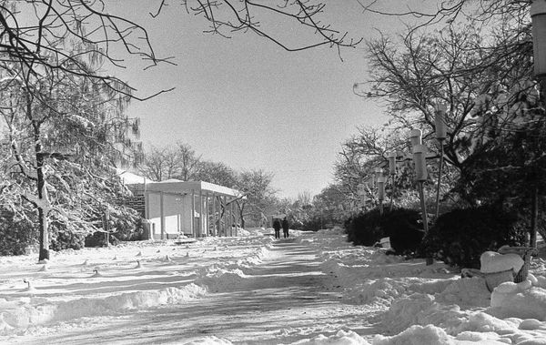 Заснеженный Симферополь. Архивное фото