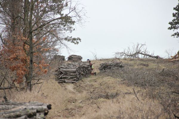 Егерь во время охоты на волков в Крыму