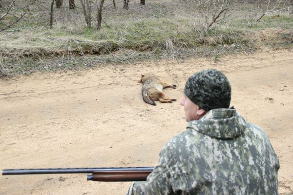 Егерь Владимир Пузиков на фоне добычи крымских охотников