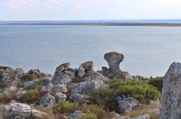 Казантипский природный заповедник в Крыму