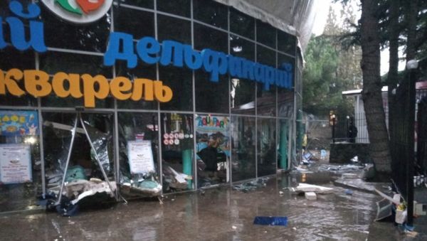 Последствия разгерметизации бассейна в дельфинарии в Алуште. 9 февраля 2019