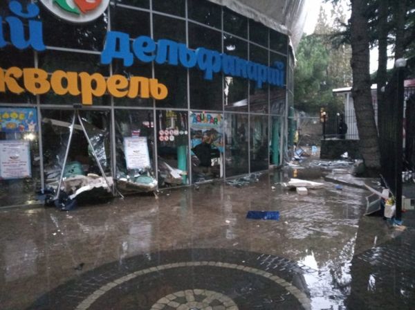 Последствия разгерметизации бассейна в дельфинарии в Алуште. 9 февраля 2019
