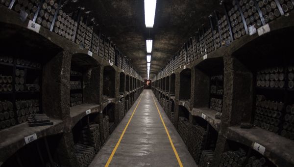 Энотека винодельческого предприятия Массандра в Крыму