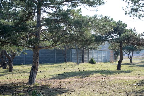 Забор, ограждающий участок около парка Обелиска памяти в Севастополе