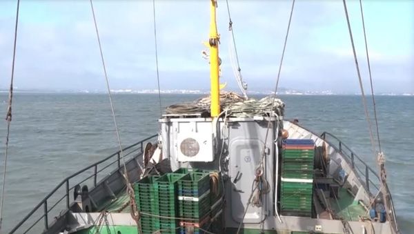 Выход в Азовское море рыболовного судна