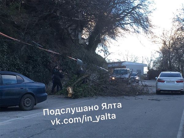  Упавшее от ветра дерево придавило автомобиль и перегородило проезд в Нижней Ореанде. 1 марта 2019 
