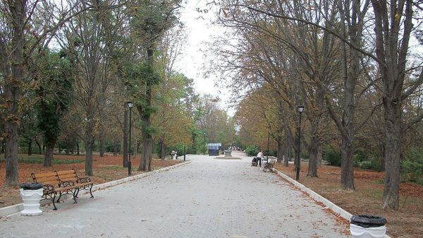 Сакский курортный парк