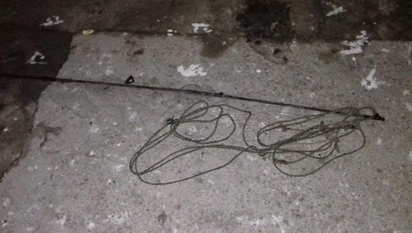 Снасти, изъятые у задержанных в Ялте браконьеров