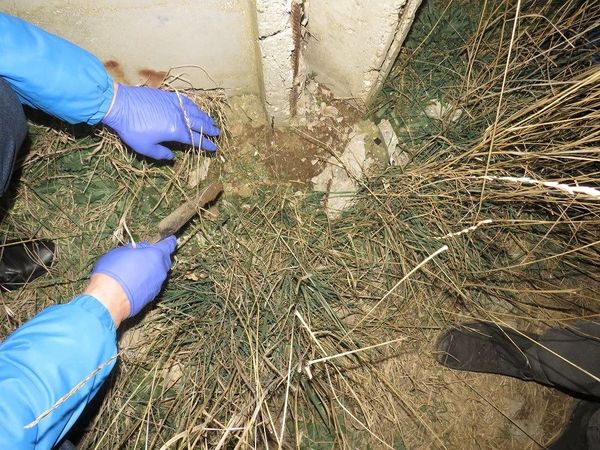 В Саках задержаны  двое мужчин, подозреваемых в сбыте наркотиков