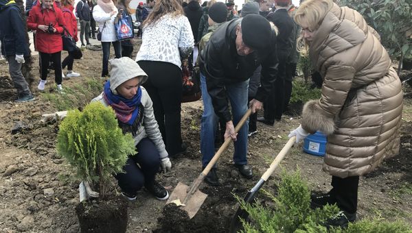 Высадка растений на набережной Ялты в рамках всекрымской акции В единстве - будущее