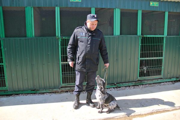 Сотрудник Пограничного управления ФСБ России со служебной собакой в пункте пропуска Джанкой