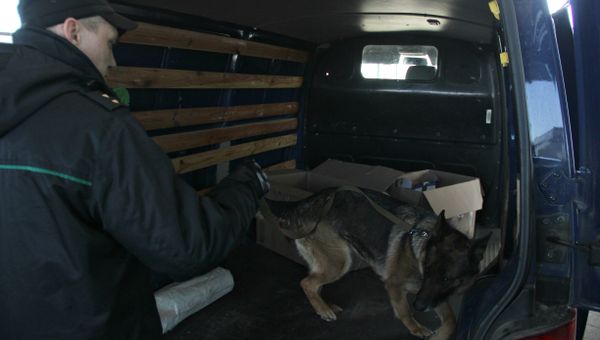 Пограничник со служебной собакой проводит досмотр автомобиля в пункте пропуска Джанкой