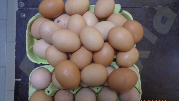 Яйца, которые пытались провезти из Украины в Крым Яйца, которые пытались провезти из Украины в Крым