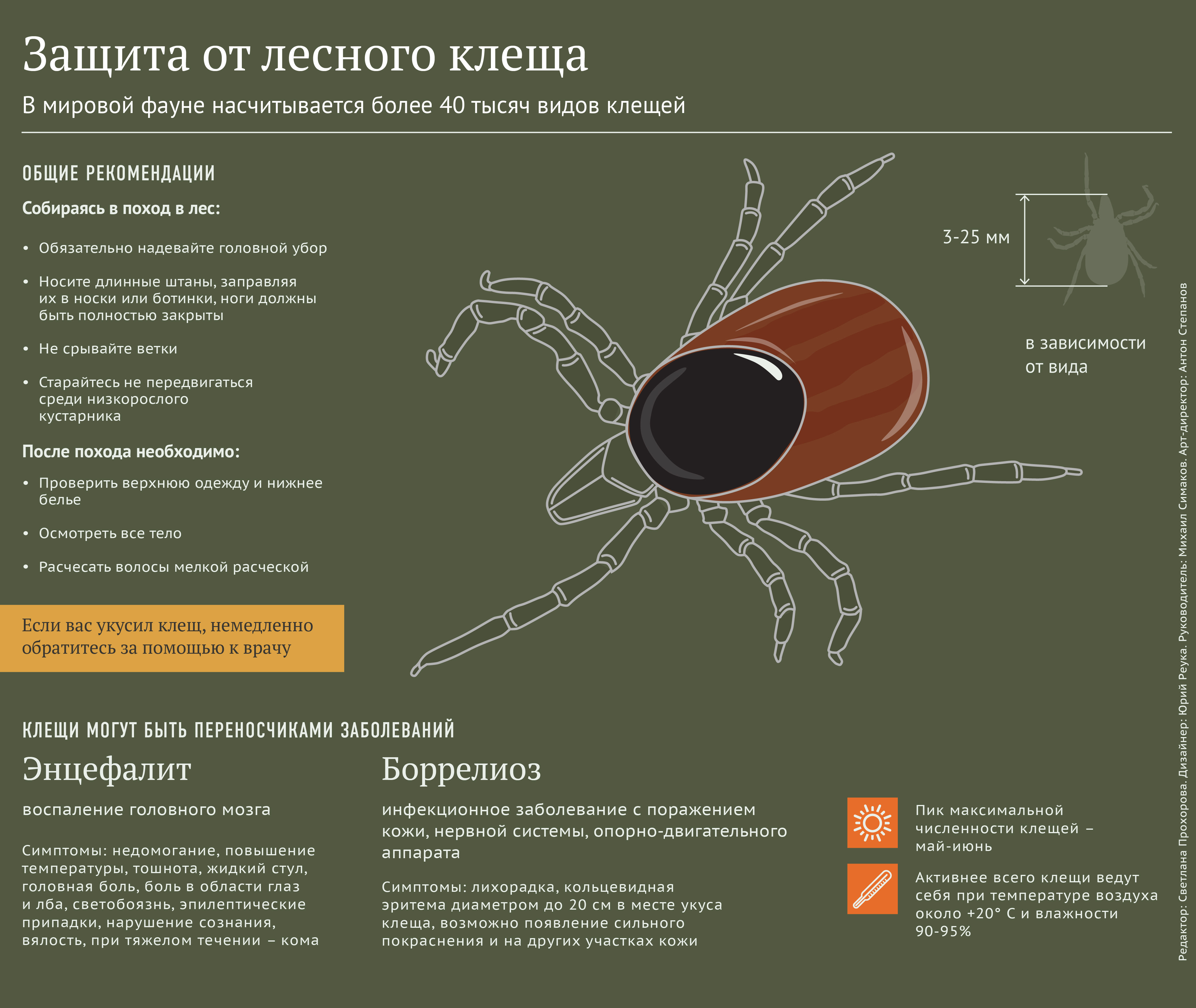 Как защититься от клеща